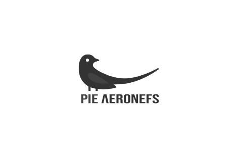 Pie Aeronefs